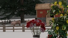 Farm landscape render